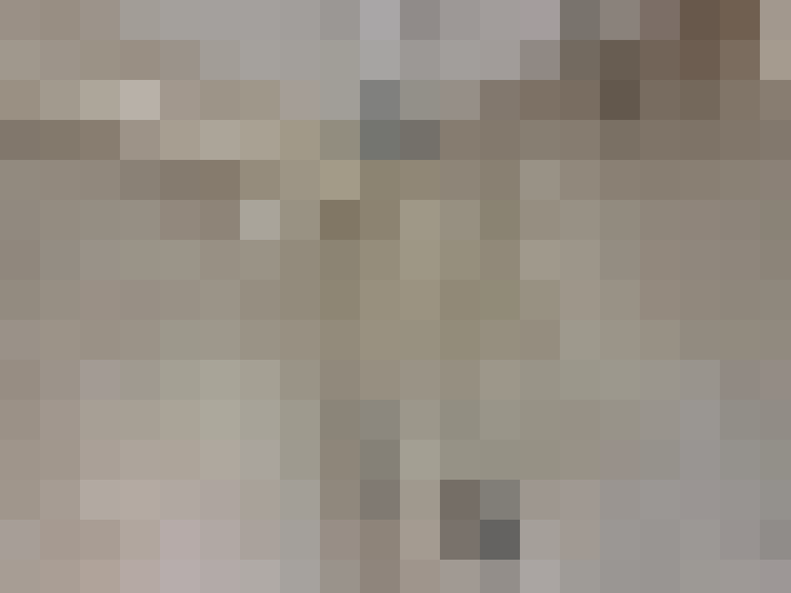  / #42