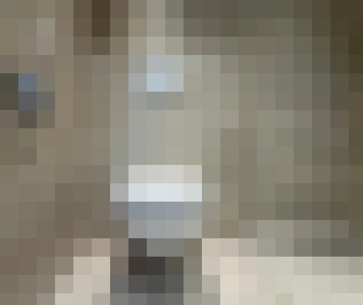  / #46