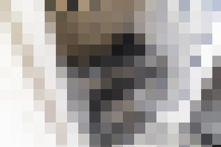  / #22