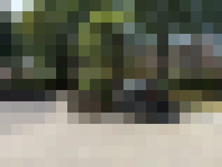  / #15