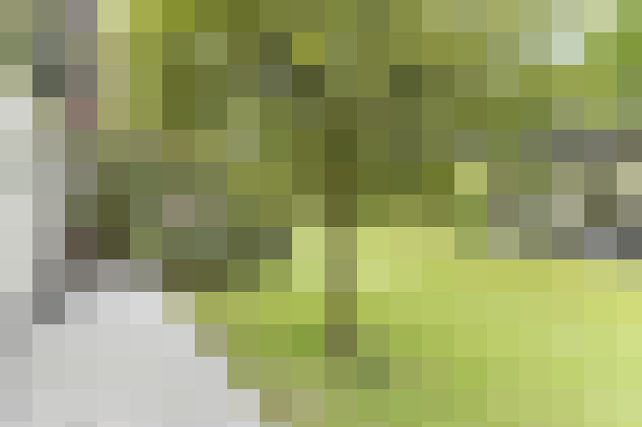  / #18