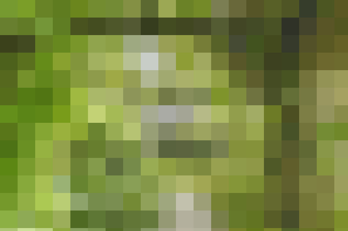  / #20