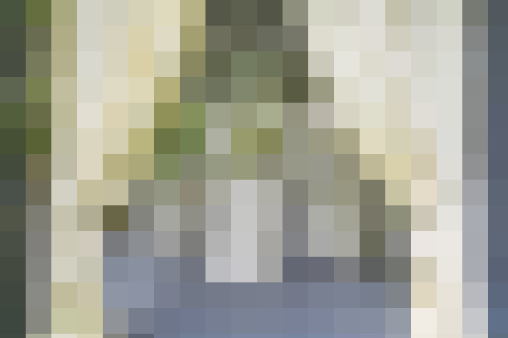  / #19