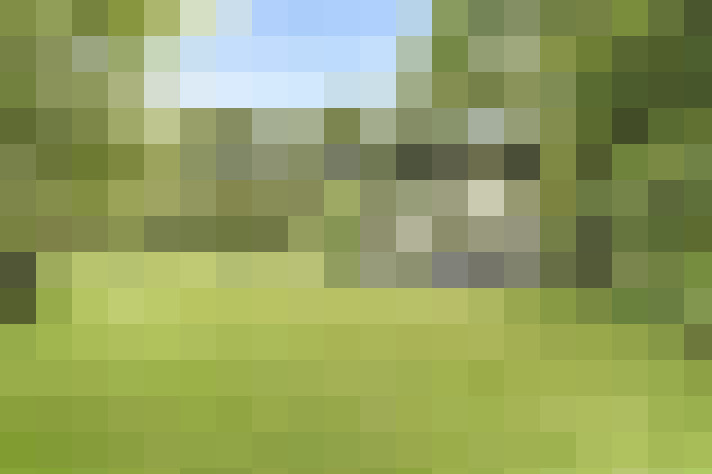  / #17