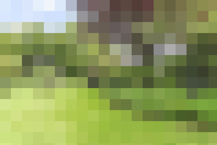  / #16