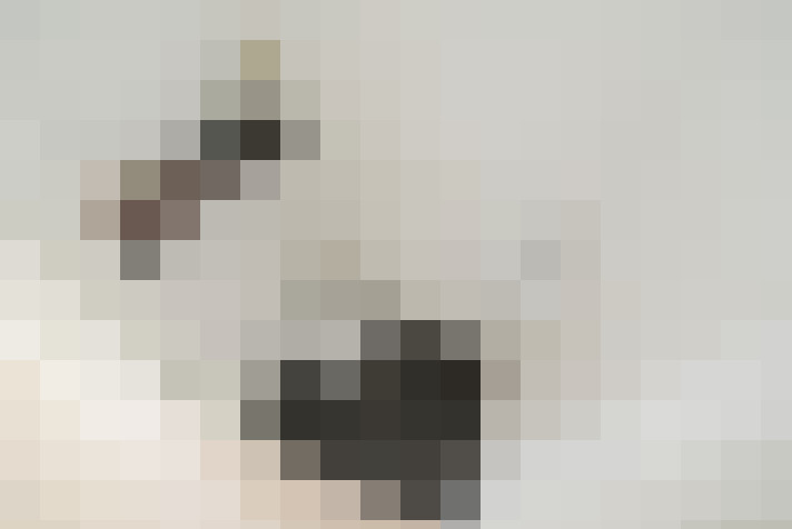  / #15