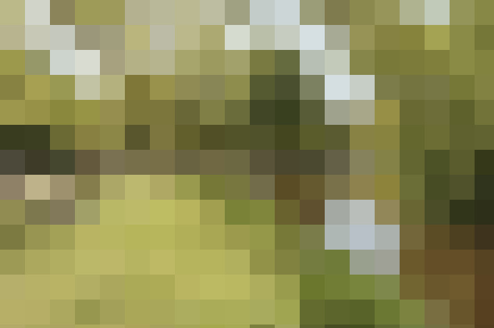  / #22