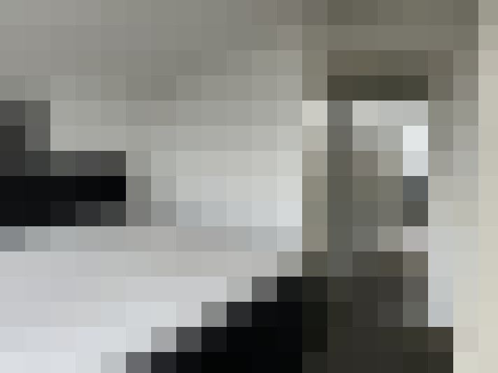  / #15