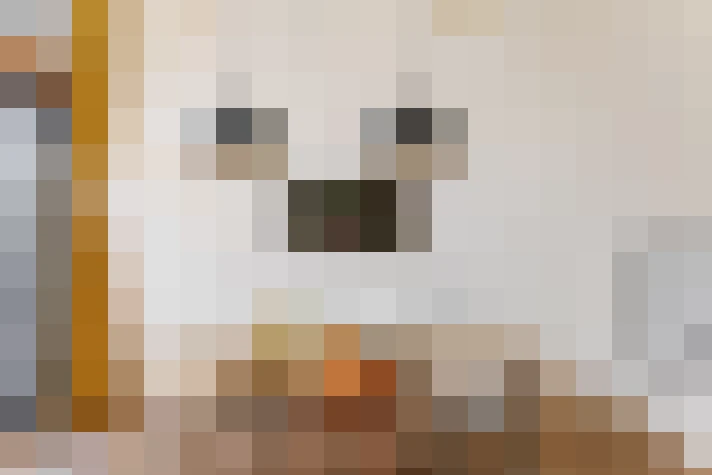  / #13