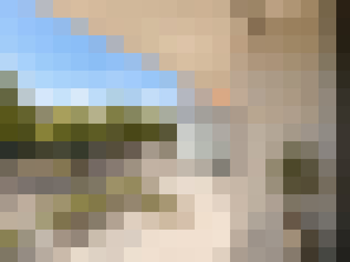  / #14