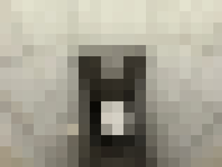  / #11