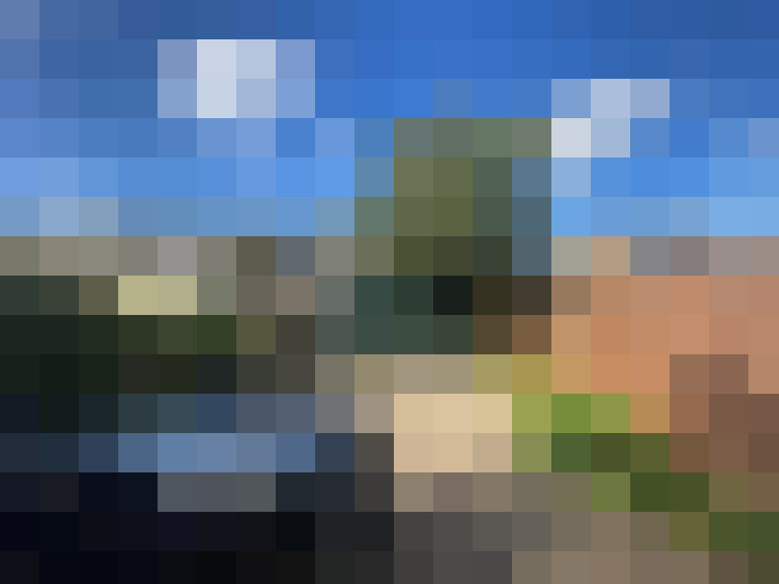  / #15