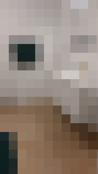  / #11