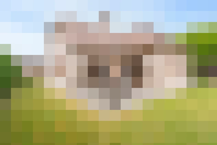  / #15