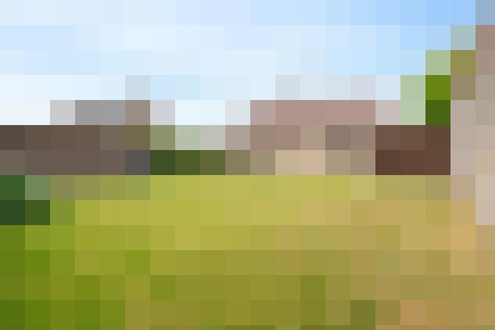  / #16
