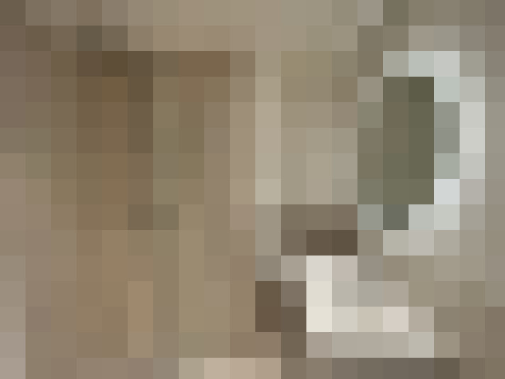  / #11