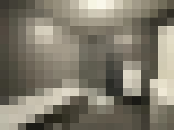  / #19