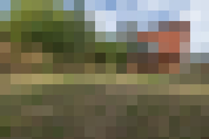  / #16