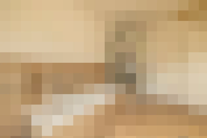  / #23