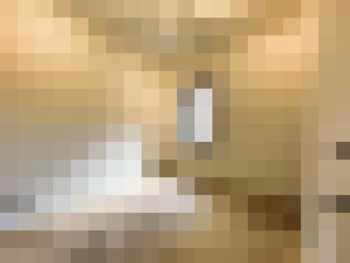  / #14