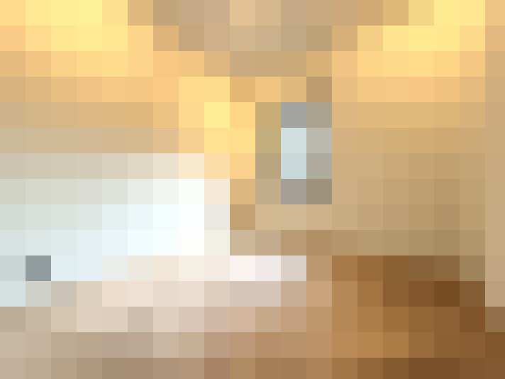  / #15