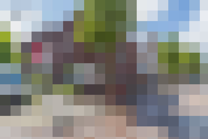  / #7