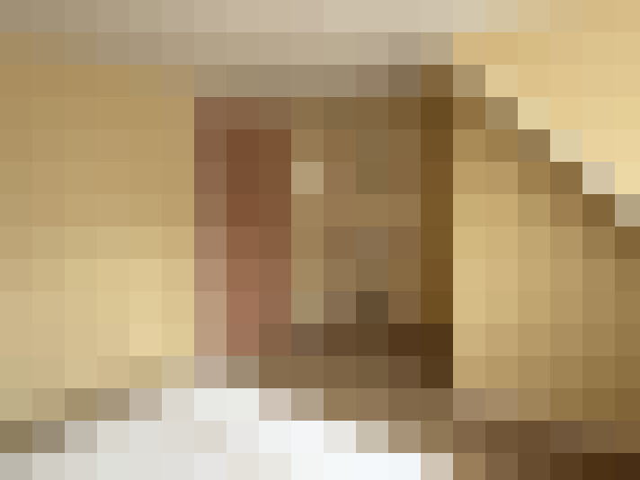  / #21