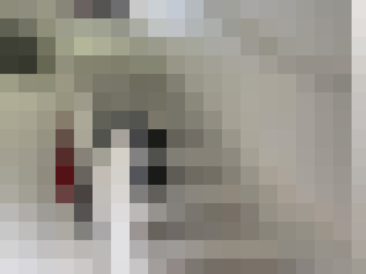  / #16