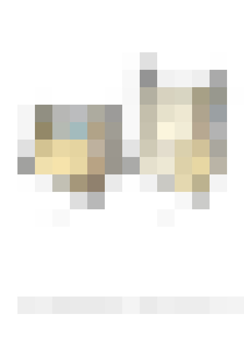  / #15
