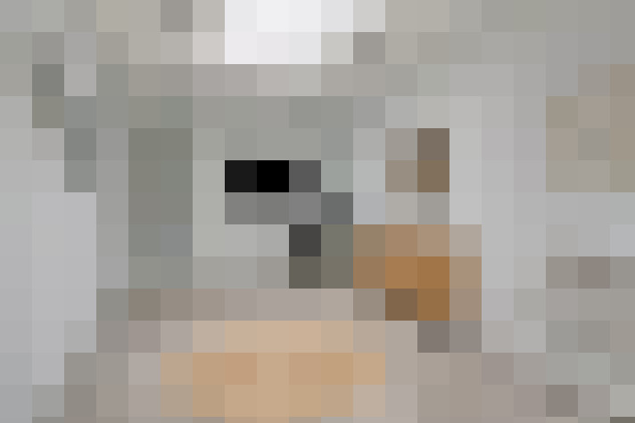  / #18