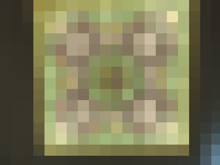  / #15