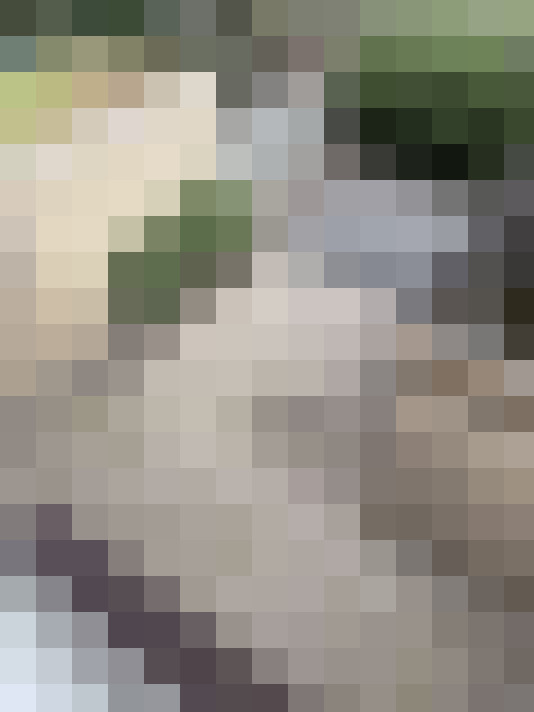  / #20