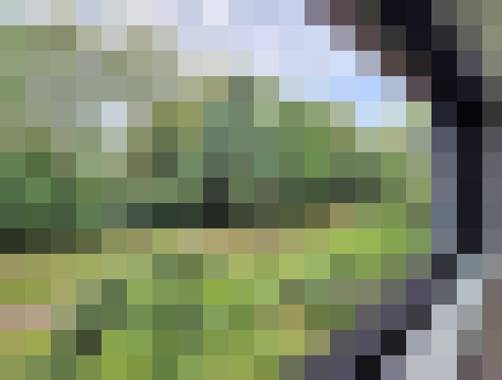  / #7