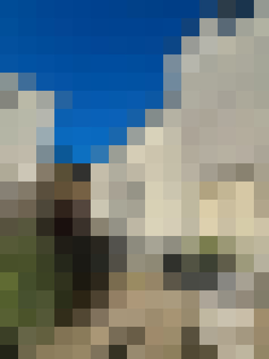  / #13
