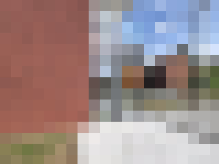  / #19