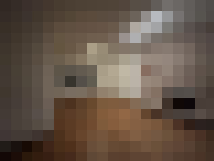  / #15