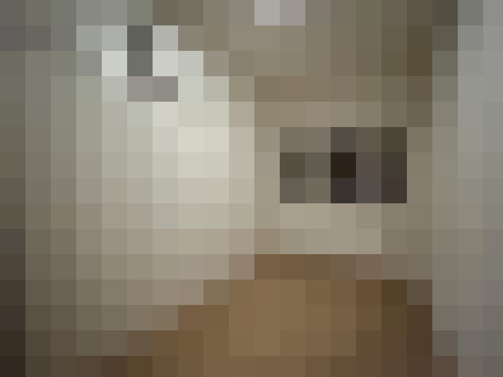  / #14