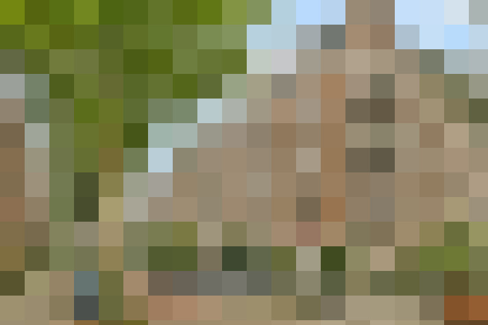  / #20