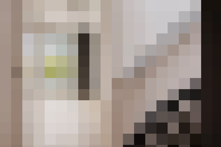  / #19