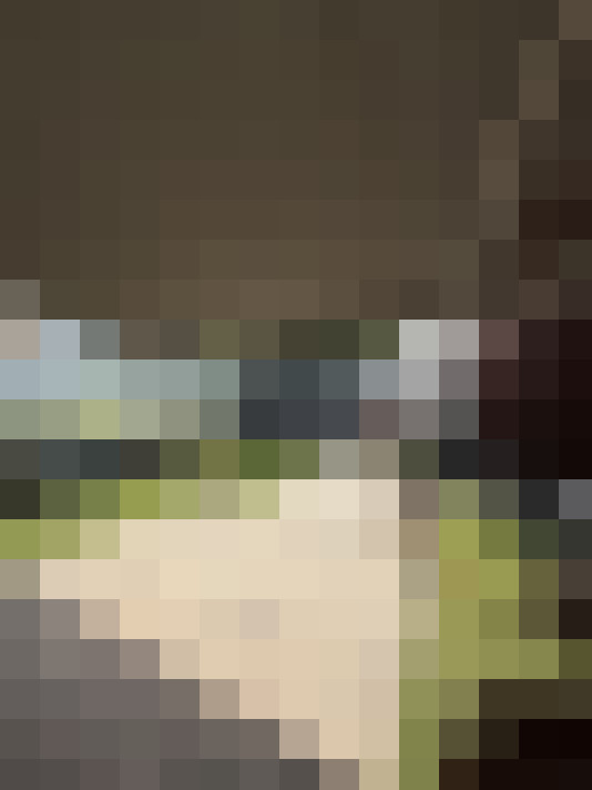  / #24