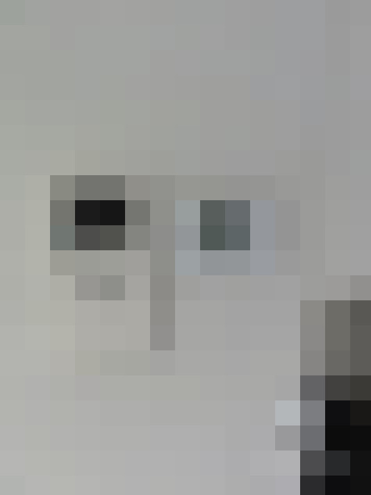  / #17