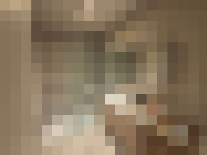  / #23