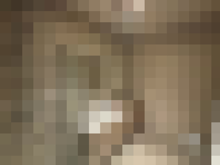  / #24