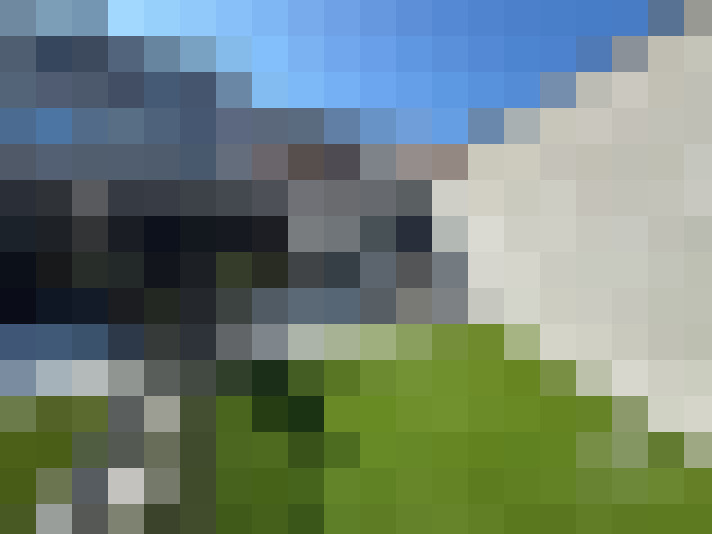  / #14