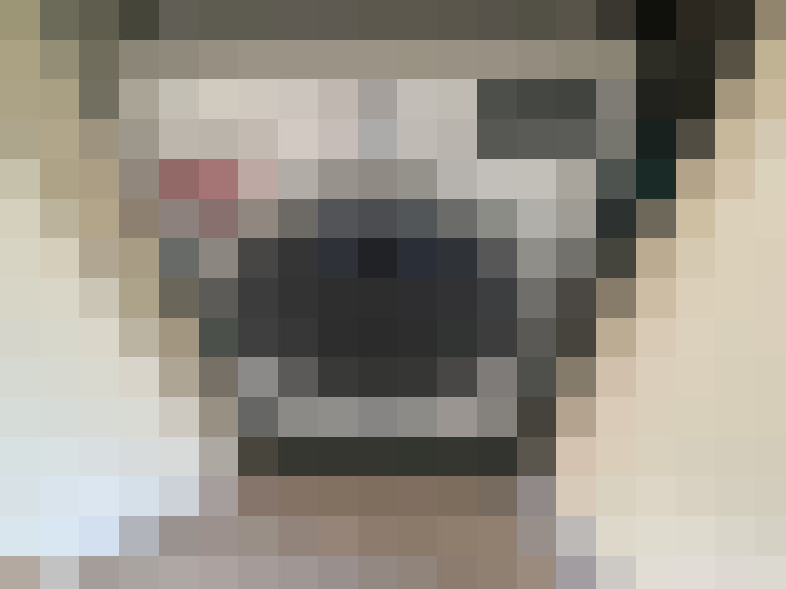  / #14