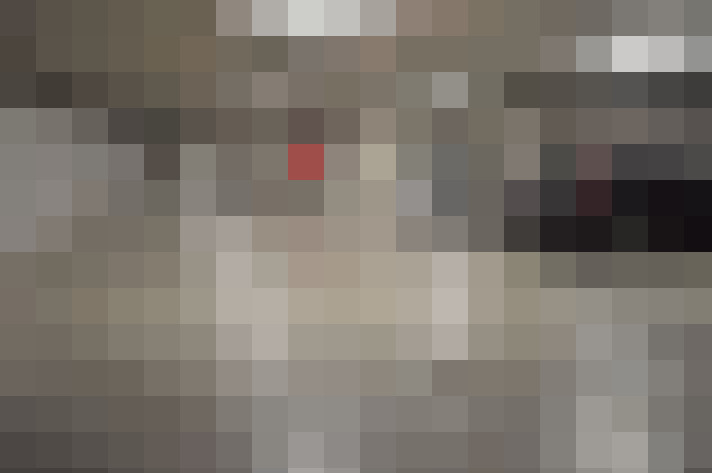  / #15