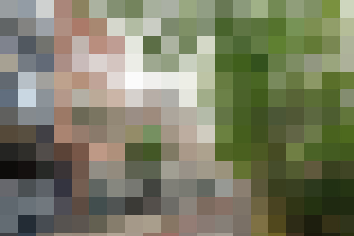  / #15