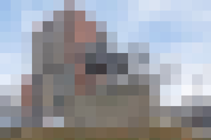 / #11