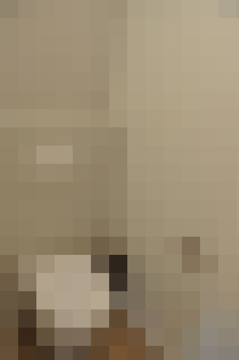  / #31