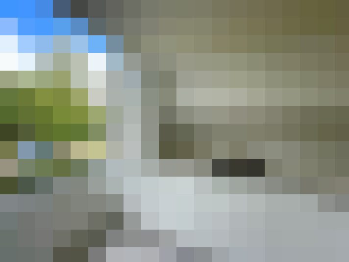  / #15